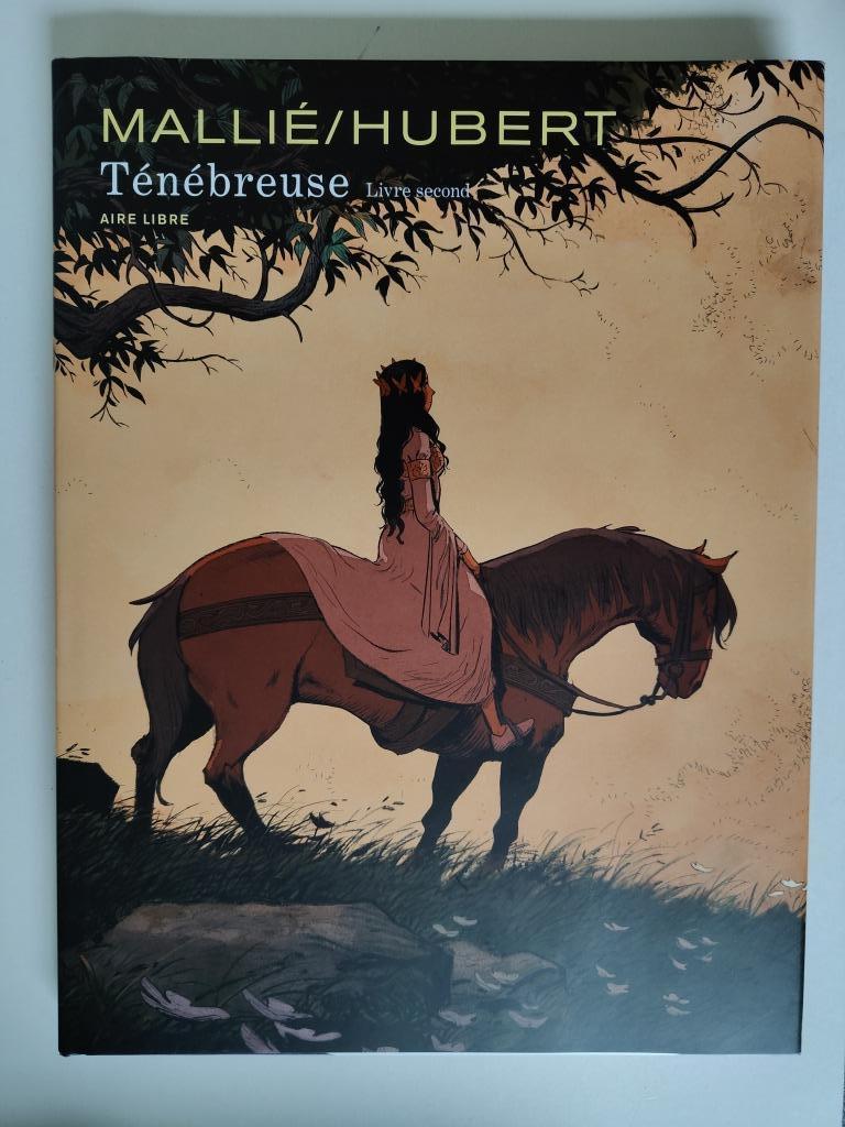 Ténébreuse les 2 tomes, Enlèvement ou Envoi, Hubert & Vincent Mallié, Série complète ou Série, Comme neuf