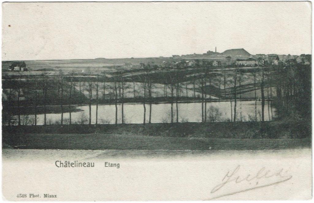 Carte postale ancienne Châtelineau Etang 1904, Collections, Envoi, Avant 1920, Affranchie, Hainaut