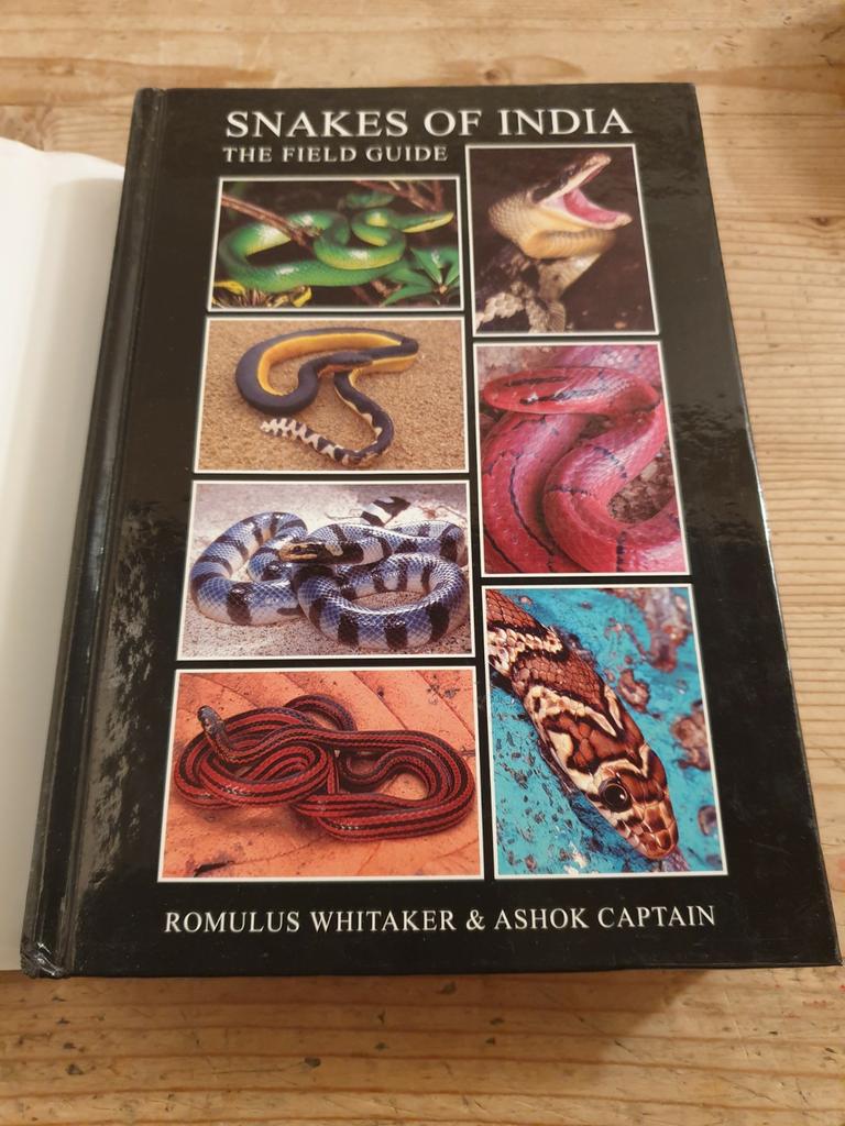 SNAKES OF INDIA the field gide 2004 480p. Hc met wikkel, Livres, Animaux & Animaux domestiques, Enlèvement ou Envoi, Utilisé, Reptiles ou Amphibiens