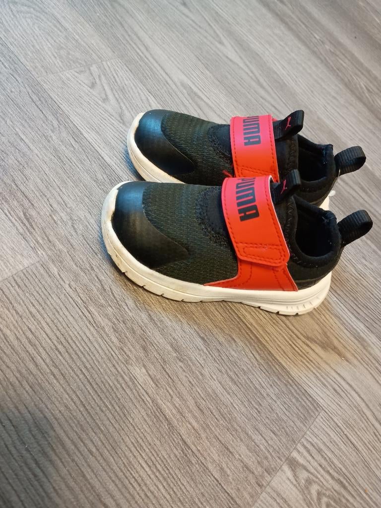 Puma, Enlèvement