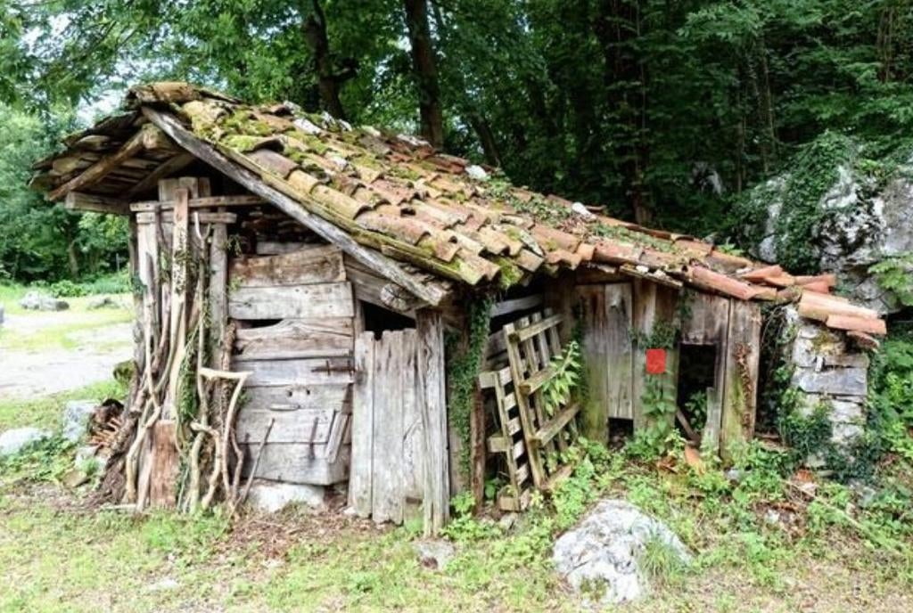 Gezocht: oud hout, afbraak stalletje, paletten,..., Ophalen