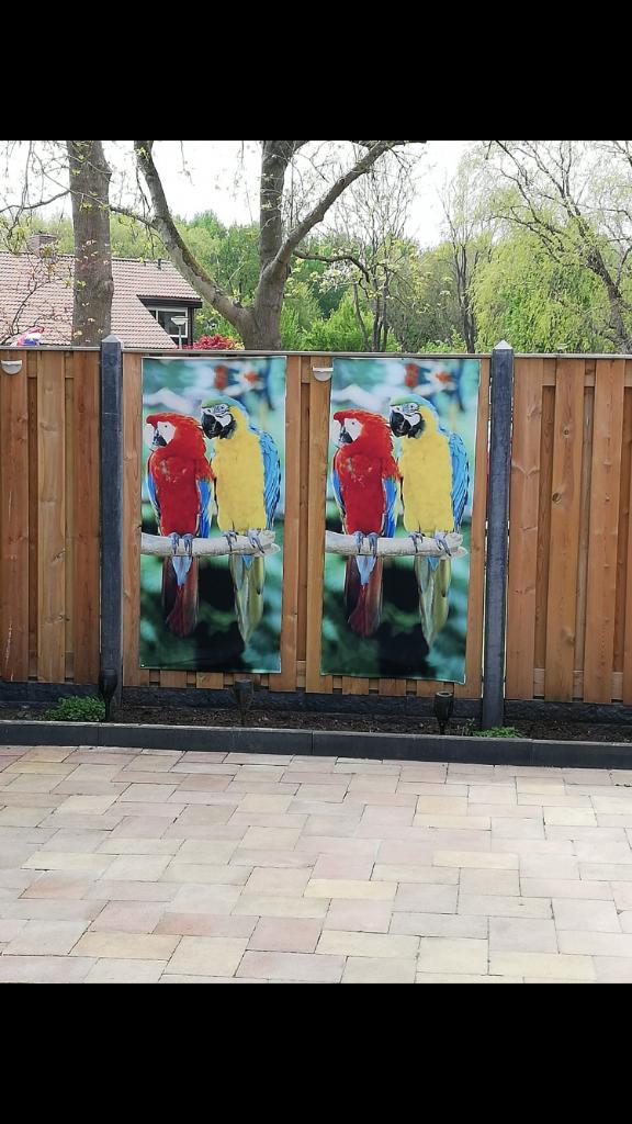Partij 35x Decoratie doeken Papegaai / Ara 200x70cm NIEUW, Ophalen of Verzenden, Nieuw