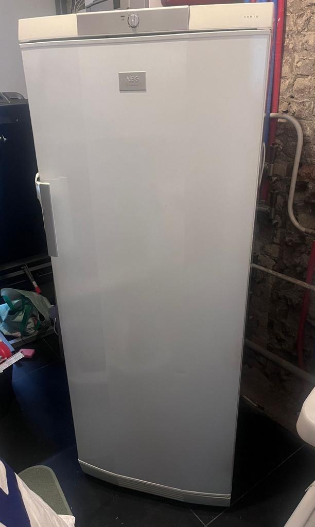 AEG Electrolux Santo ijskast - zeer goed onderhouden - 294 L, Electroménager, Enlèvement