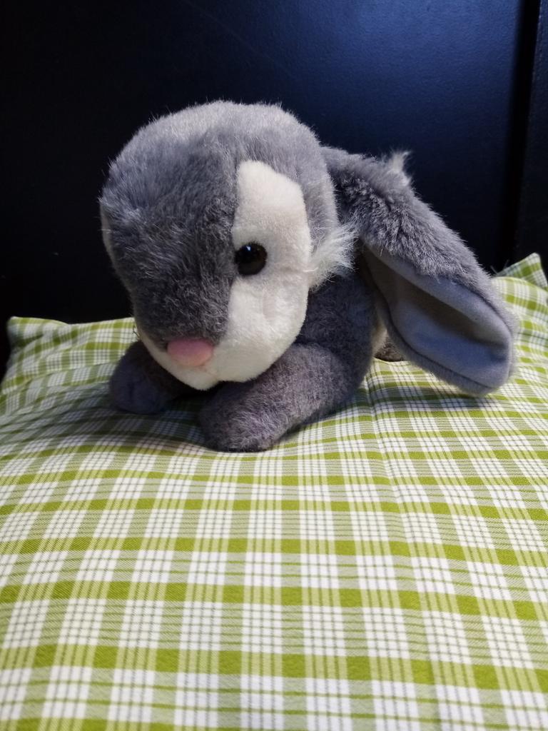 Peluche lapin, Comme neuf, Lapin