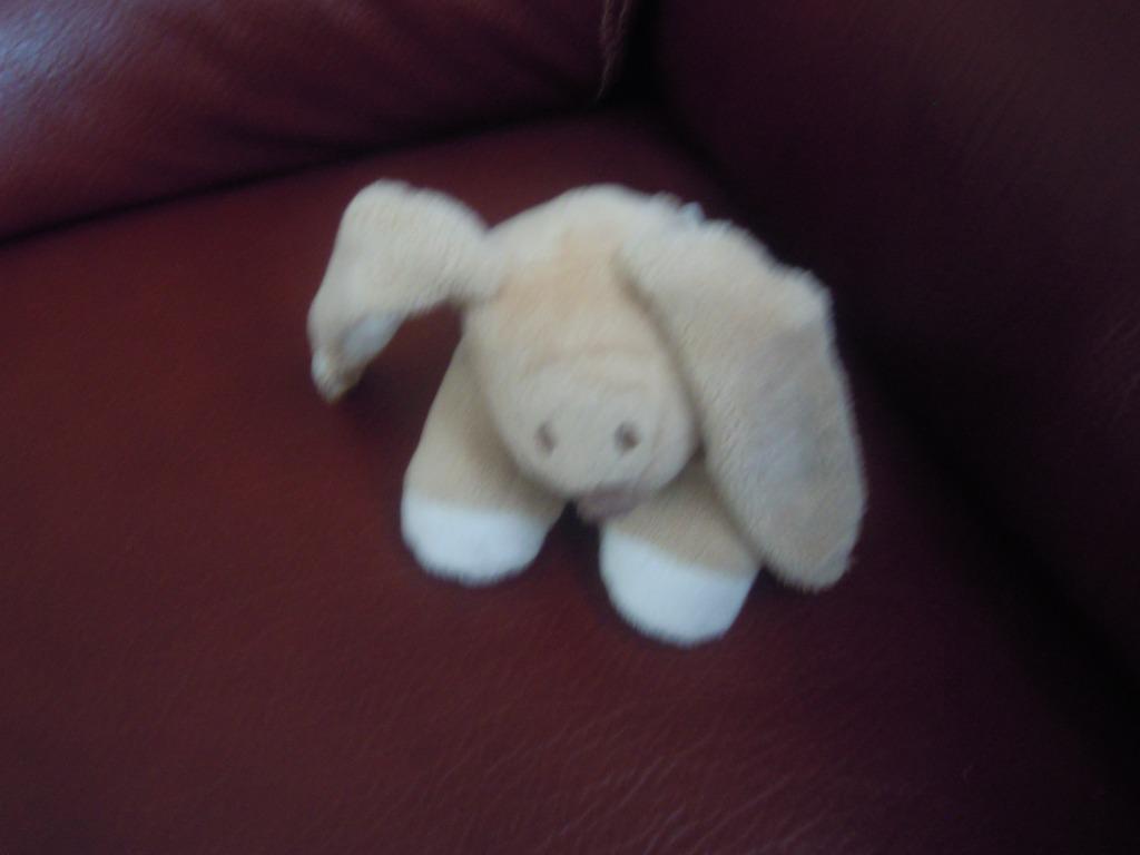 knuffel nattou konijn met rammelaar (doosjan2024), Ophalen of Verzenden, Nieuw, Konijn