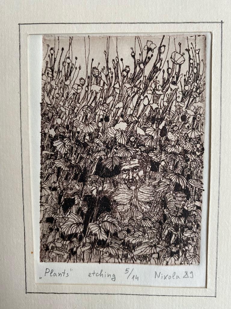 Ets van Nikola Prodanov (Bulgarije), Antiek en Kunst, Kunst | Etsen en Gravures, Ophalen of Verzenden