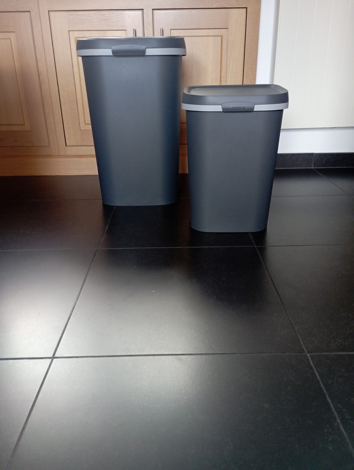Lot de deux poubelles grises Allibert (25 et 50 L), Maison & Meubles, Enlèvement