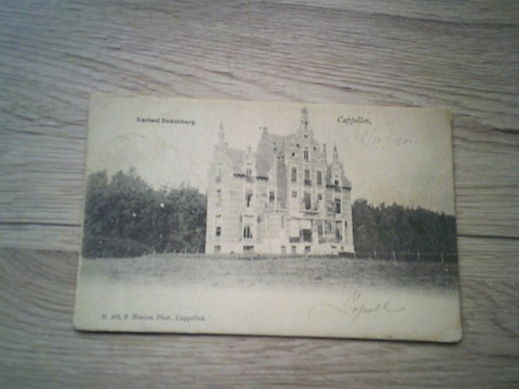 CAPELLEN / KAPELLEN: Kasteel "Denneburg" - F. Hoelen photo, Ophalen of Verzenden, Voor 1920, Gelopen, Antwerpen