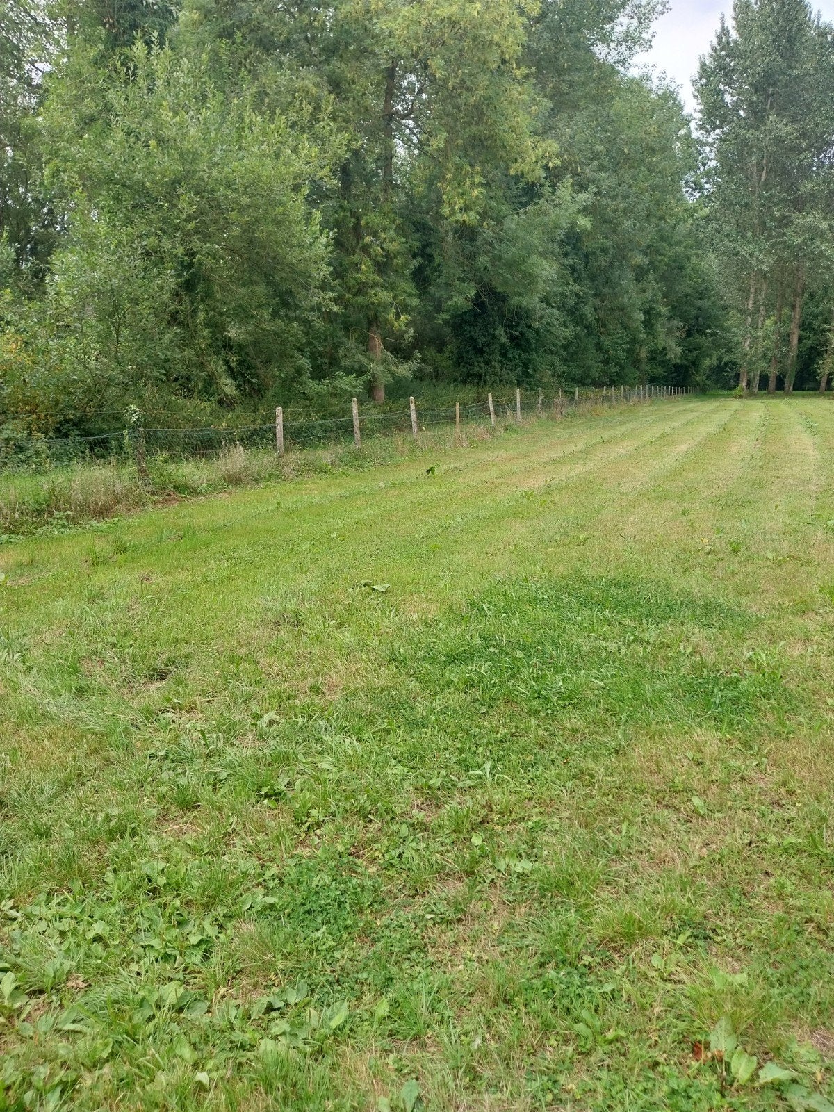 Weide en bosgrond, Dieren en Toebehoren, Stalling