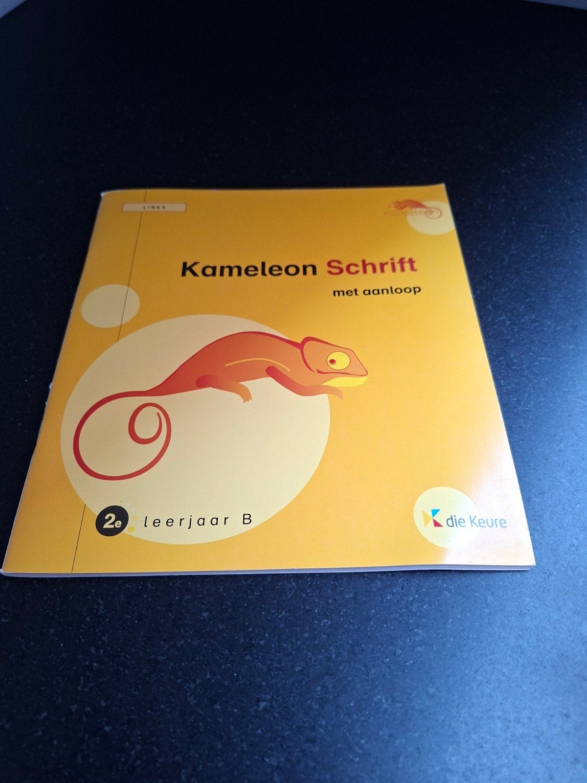 kameleon schrift met aanloop, Boeken, Ophalen of Verzenden, Nieuw