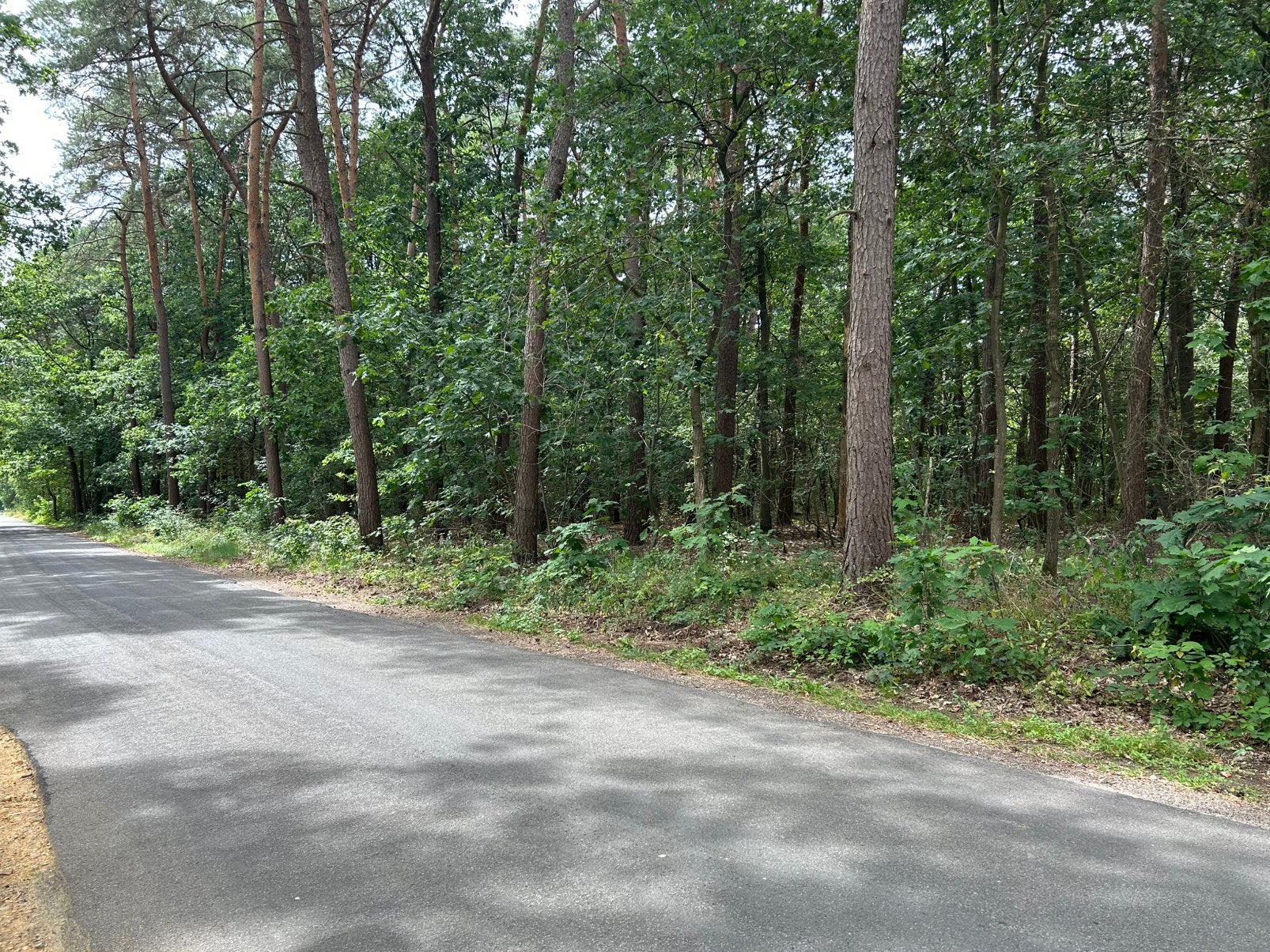 Bosgrond 65.30 are, 1500 m² of meer