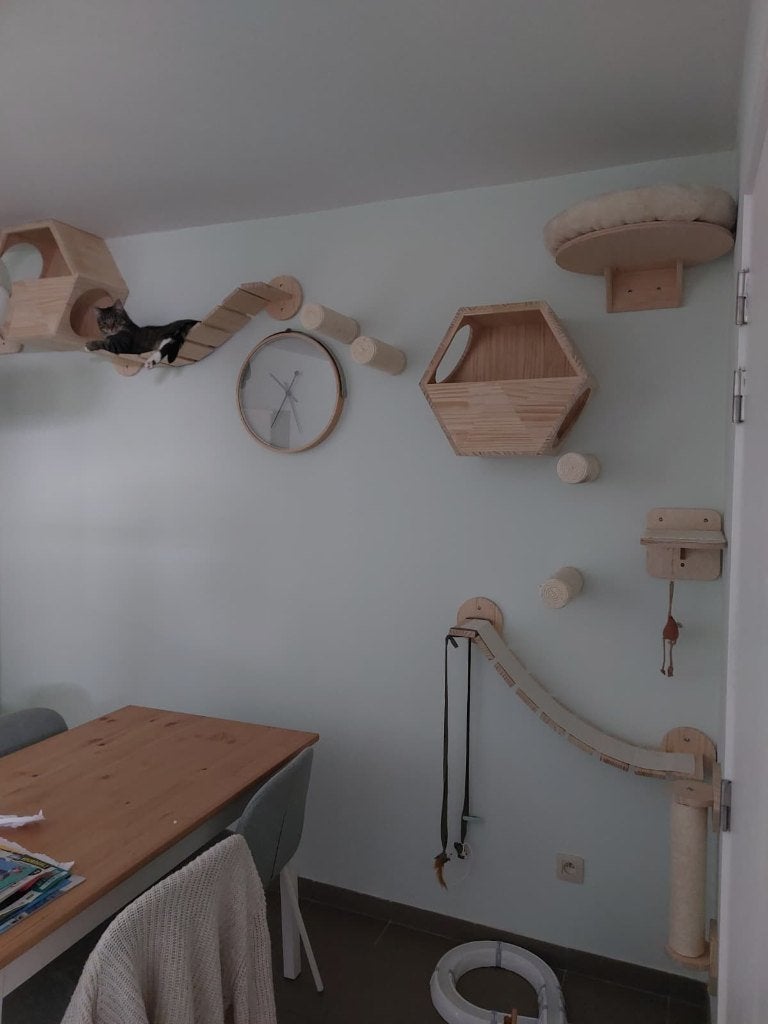 Complete klimmuur voor katten, Dieren en Toebehoren, Katten-accessoires, Ophalen, Gebruikt