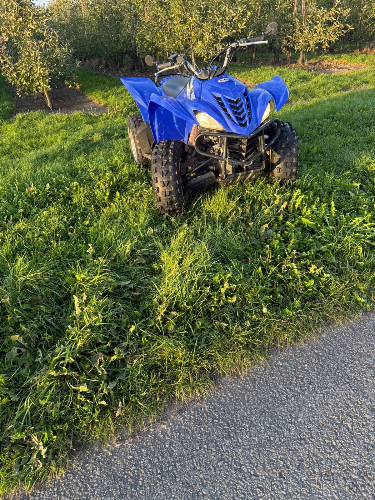 Quad yamaha, Motos