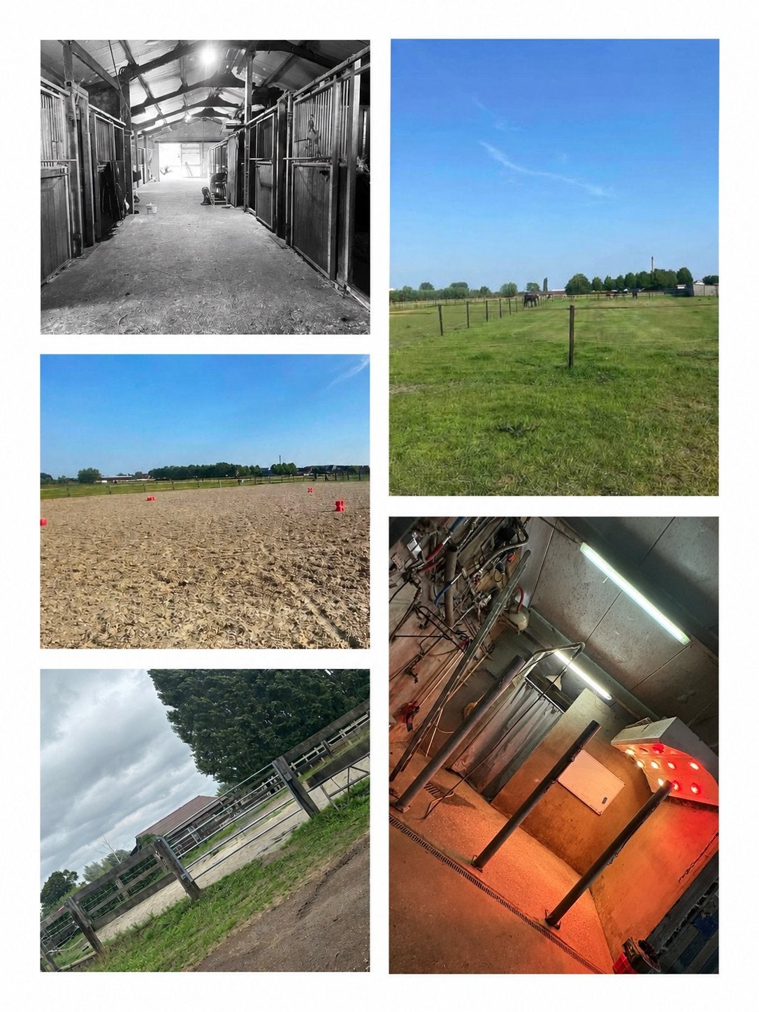 Volpension beschikbaar in Lievegem, Dieren en Toebehoren, Paarden
