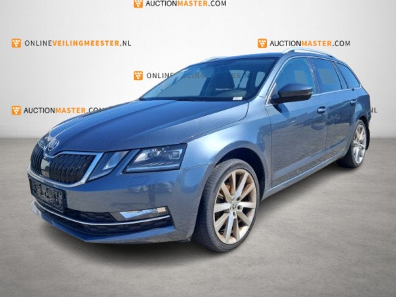 Personenauto, Skoda, Octavia Combi, 2.0 TDI Greentech Style, Autos, Neuf, Achat, Entreprise, Autres carburants