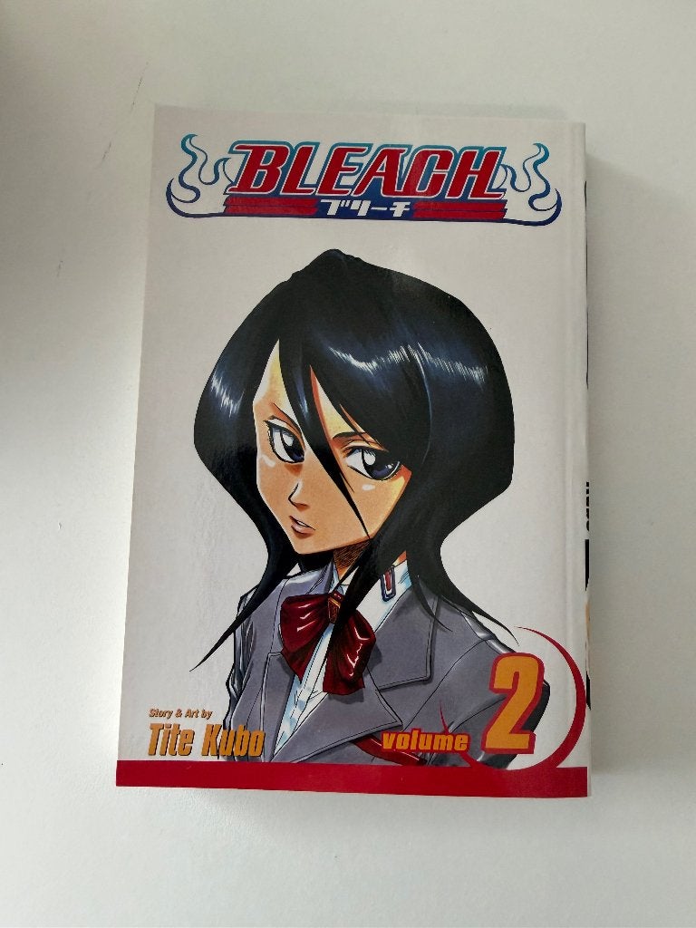 Bleach vol. 2, Livres, Une BD, Enlèvement, Comme neuf
