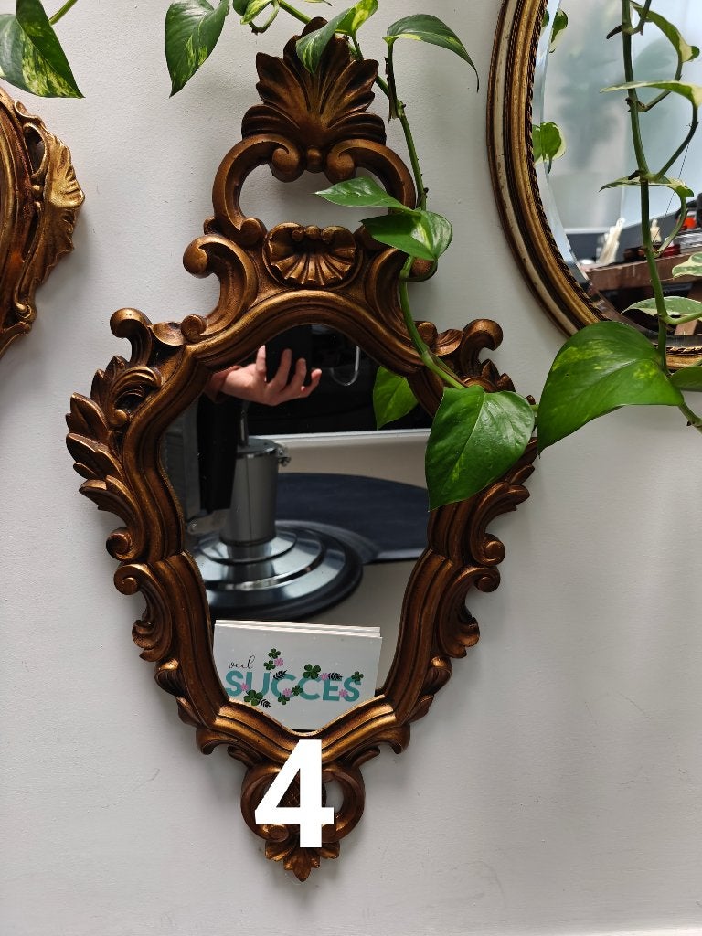 Gouden Spiegel, Ophalen