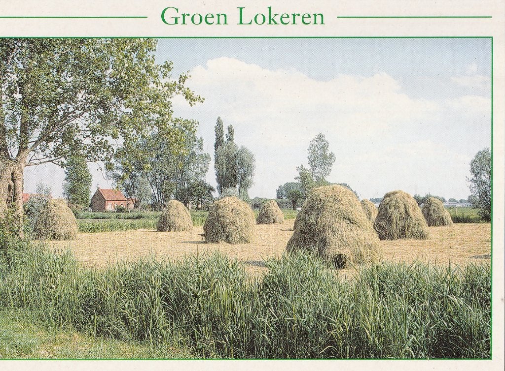 LOKEREN -  De Meersakkers te Oudenbos, Verzenden, Ongelopen, Oost-Vlaanderen