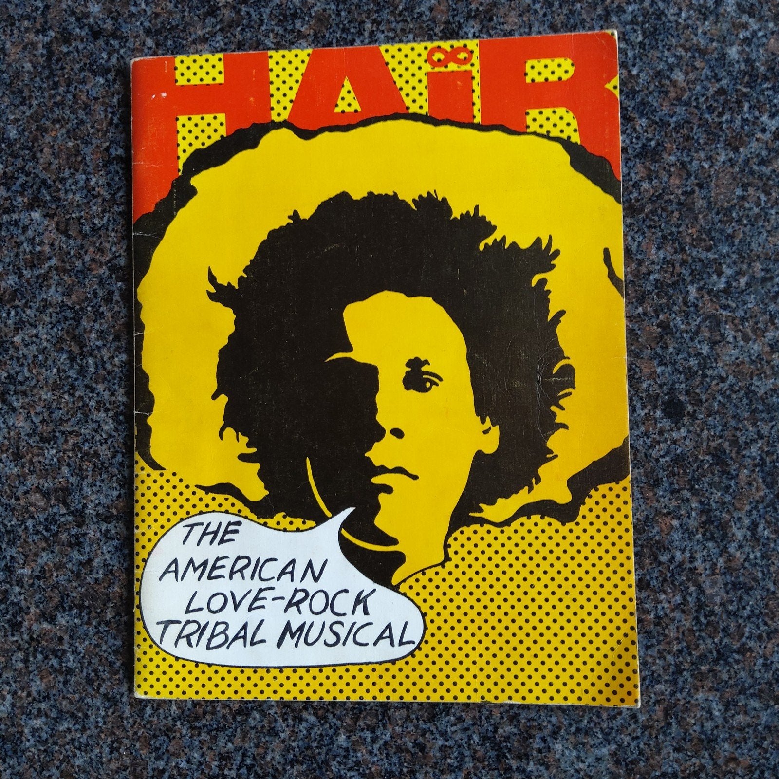 Origineel Programmaboekje Musical HAIR 1970 (NL versie), Boeken, Ophalen of Verzenden, Gelezen