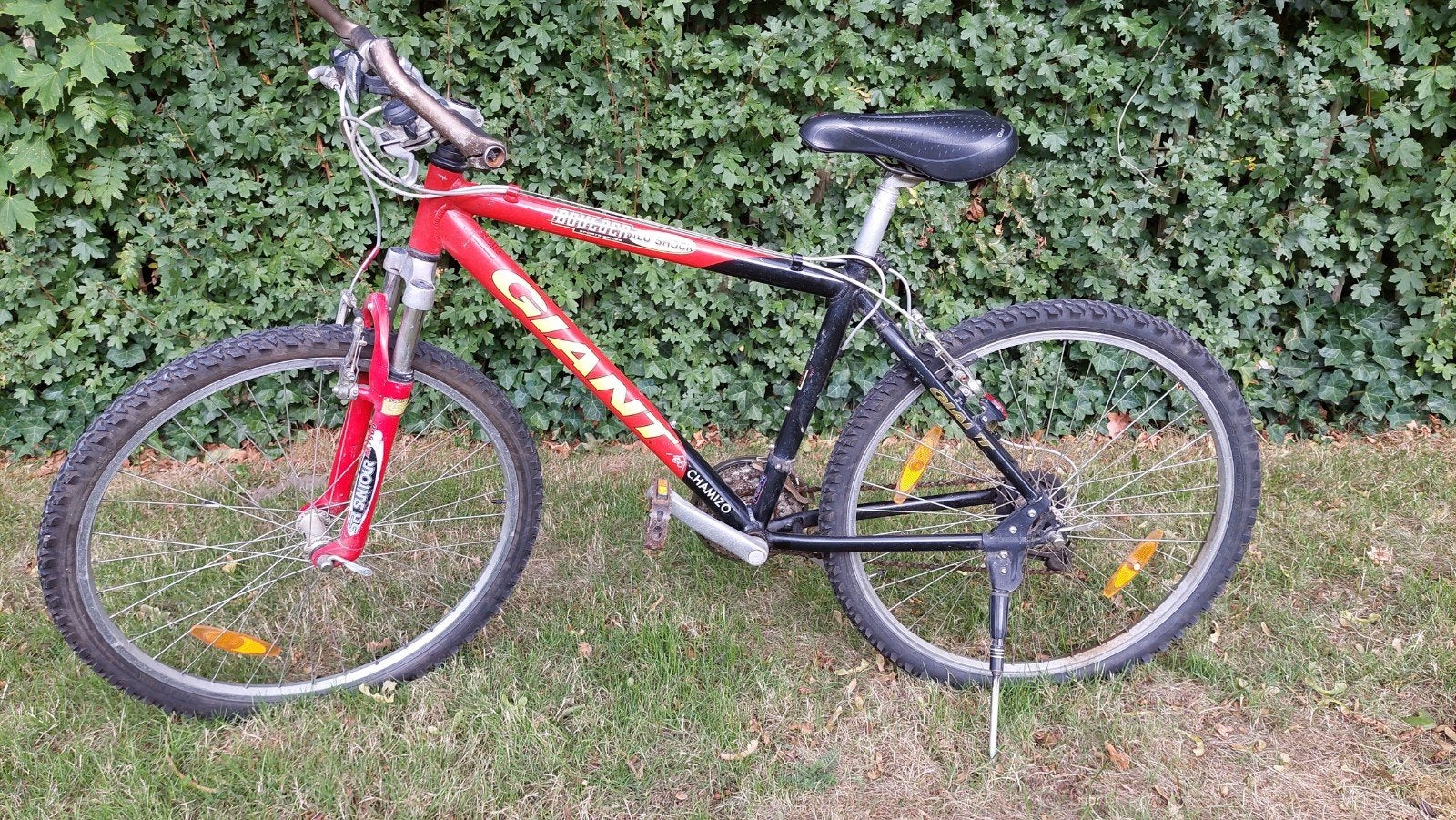 MTB van Giant, Fietsen en Brommers, Gebruikt, Velgrem, Giant, Ophalen