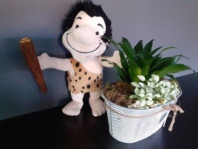 Knuffel Holbewoner Grotten van Han, Enlèvement, Comme neuf