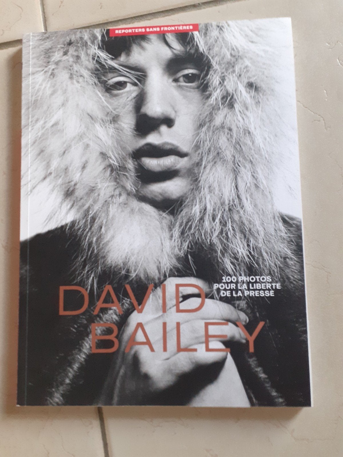 livre photos David Bailey, Livres, Enlèvement, Neuf, Photographie général