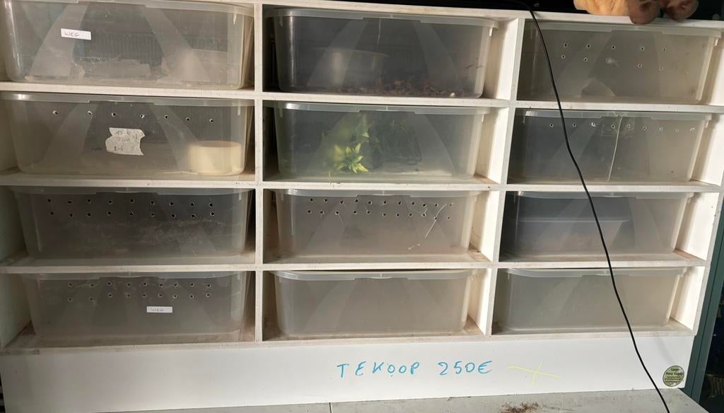 Rack, Ophalen, Gebruikt