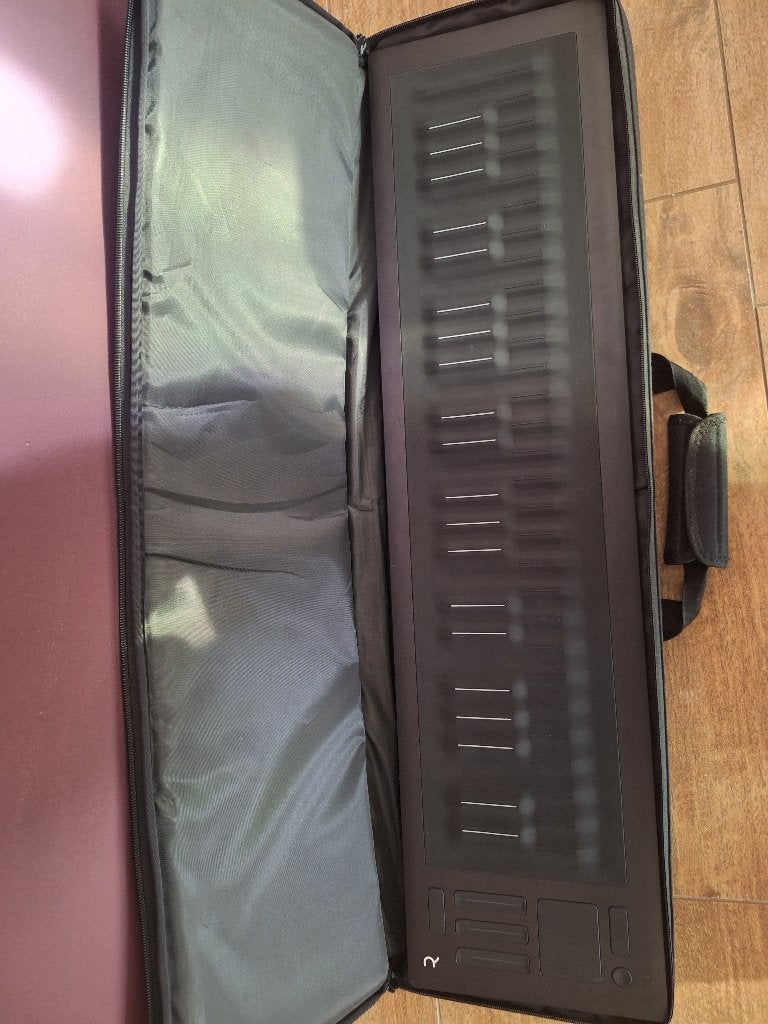 ROLI Seaboard – Clavier MIDI haut de gamme (housse de trans), Musique & Instruments, Comme neuf, Digital, Enlèvement, Piano