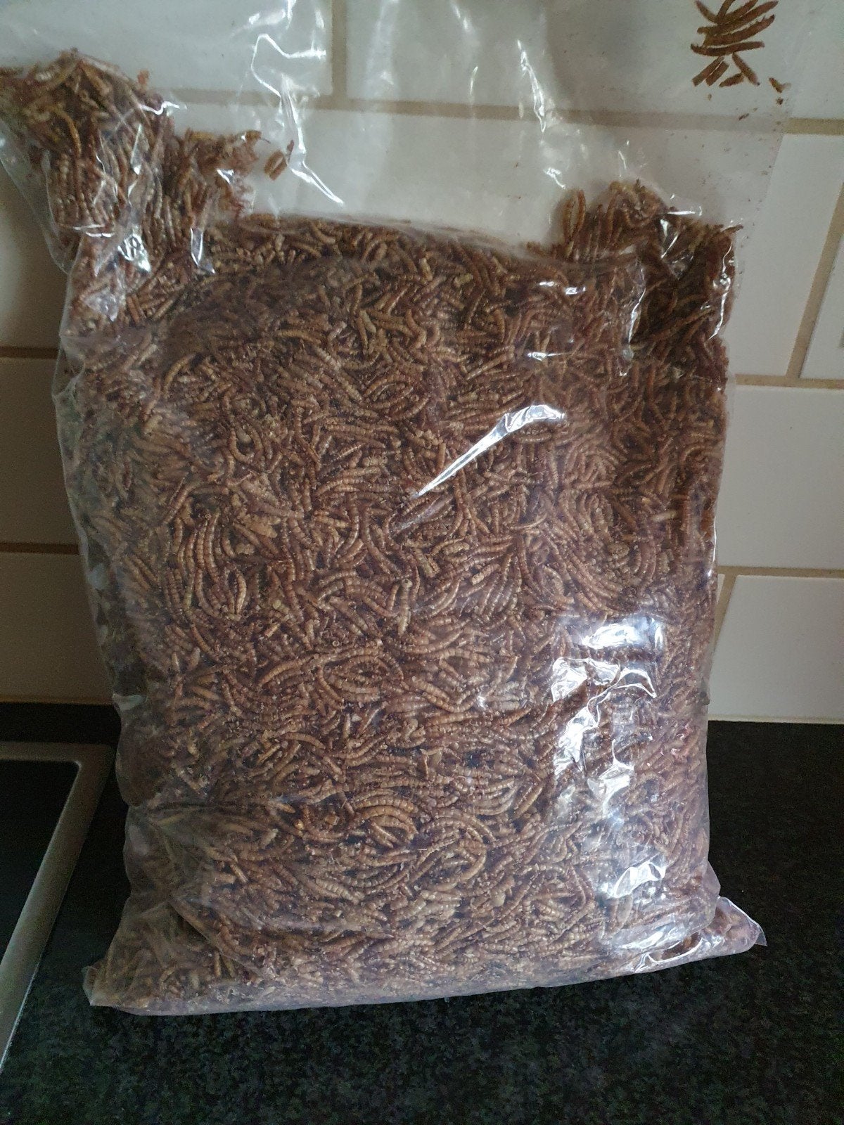meelwormen 1 kilo !, Dieren en Toebehoren, Pluimvee