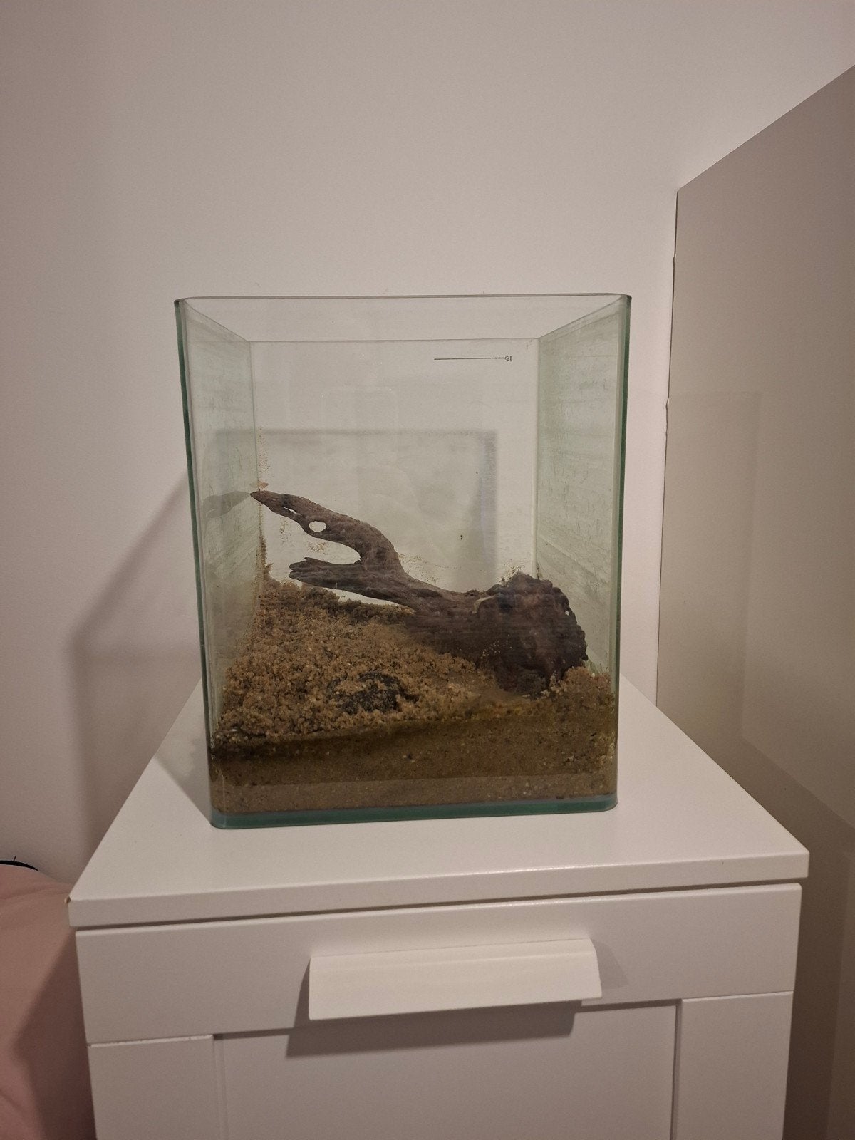 Aquarium 17l te koop, Enlèvement