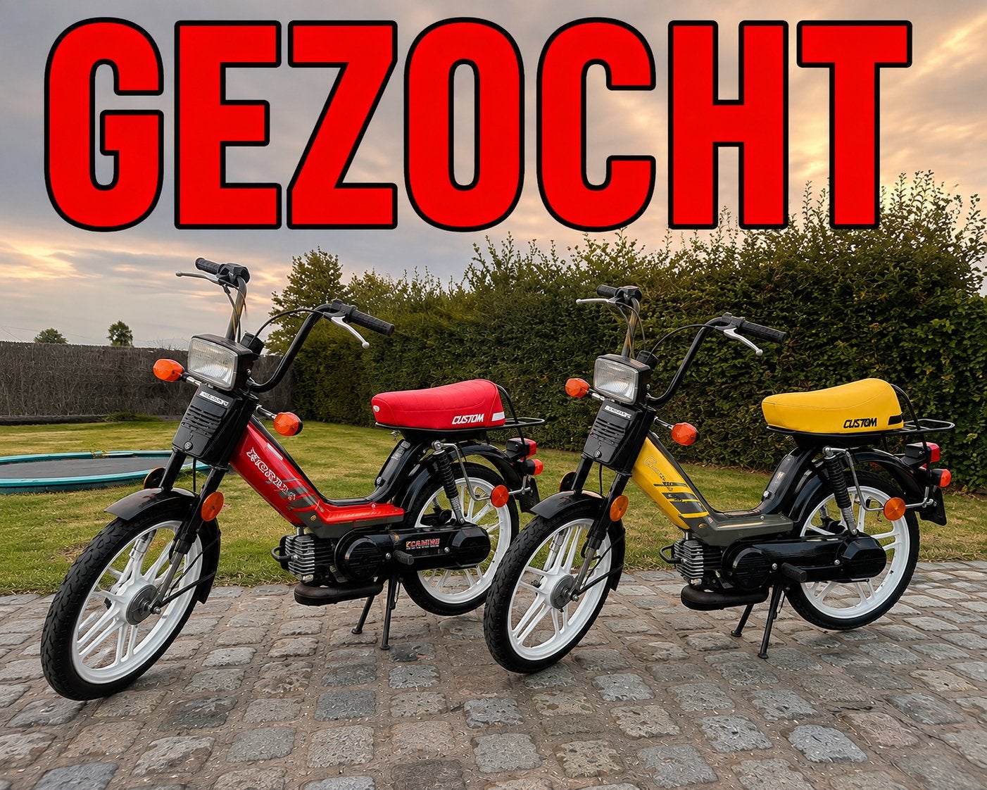 GEZOCHT: Honda Camino Custom, Ophalen