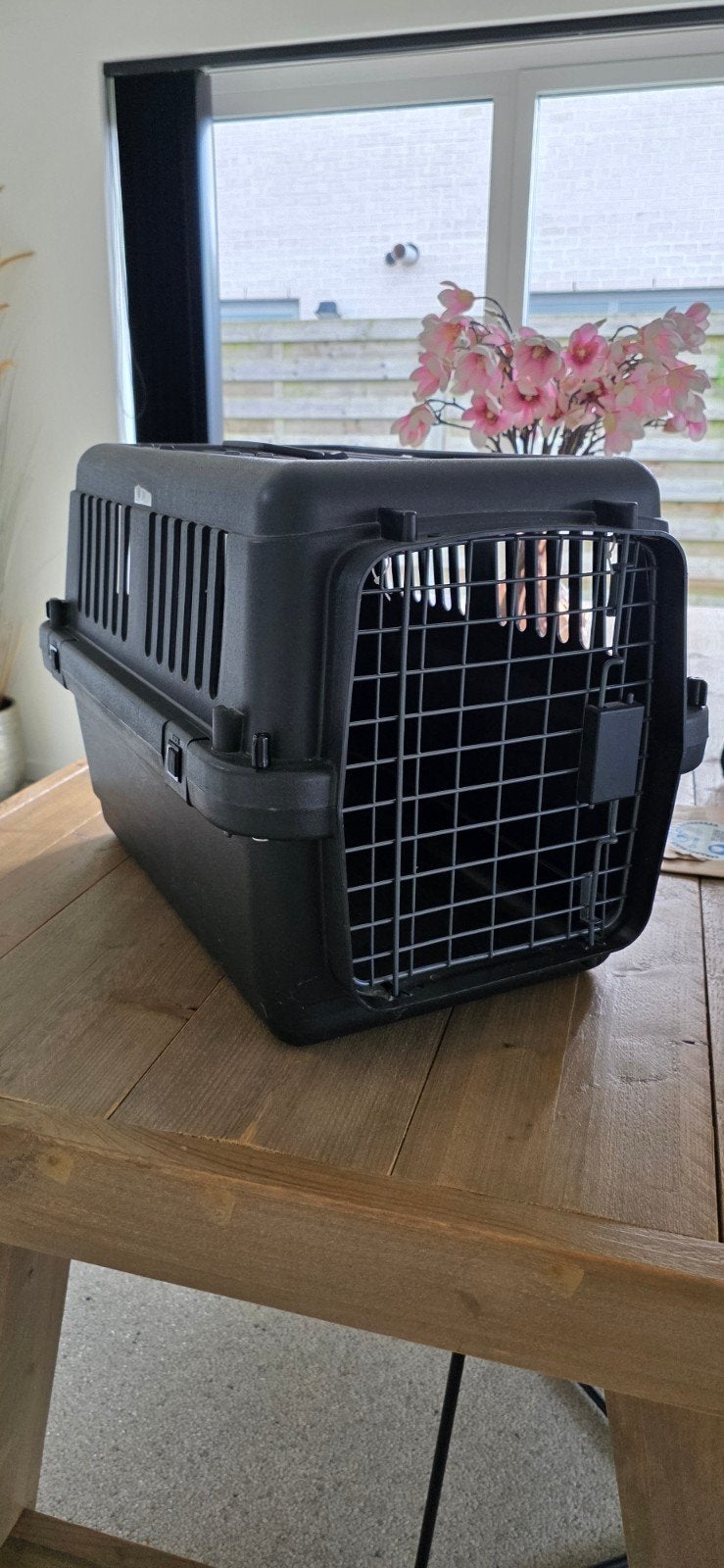 AniOne Transportbox / Reismand – Stevig en netjes, Ophalen, Zo goed als nieuw