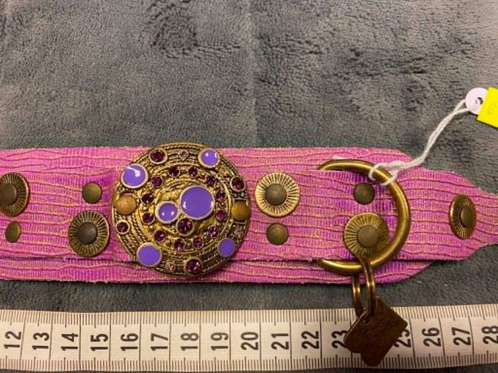Luxe halsband aan outletprijsje !, Dieren en Toebehoren, Hondenhalsbanden en Penningen, Ophalen of Verzenden, Nieuw