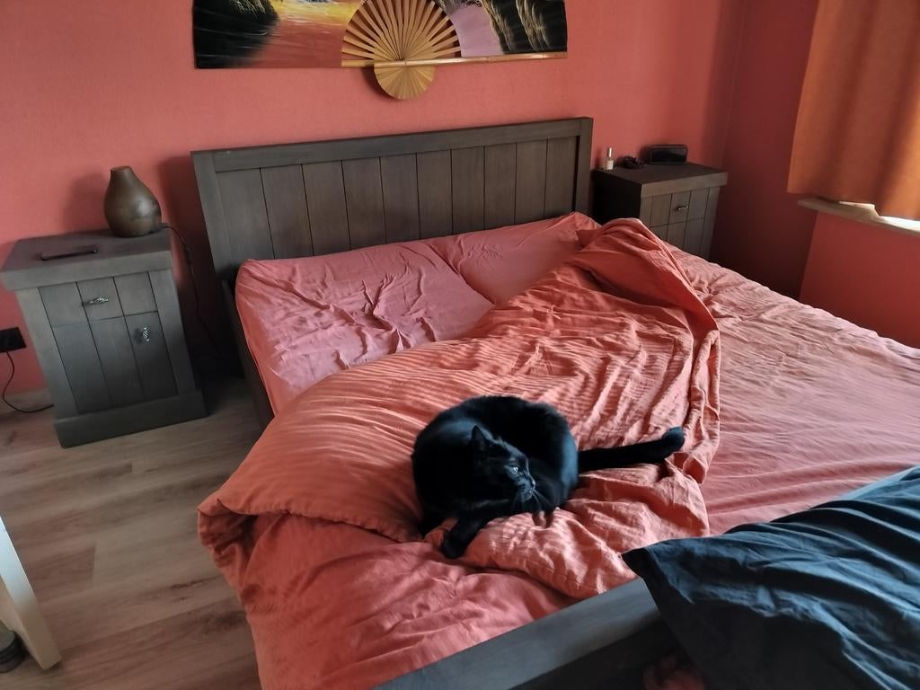 Lit, 160 cm, bois., Maison & Meubles, Chambre à coucher | Chambres à coucher complètes, Utilisé, Deux personnes, Enlèvement