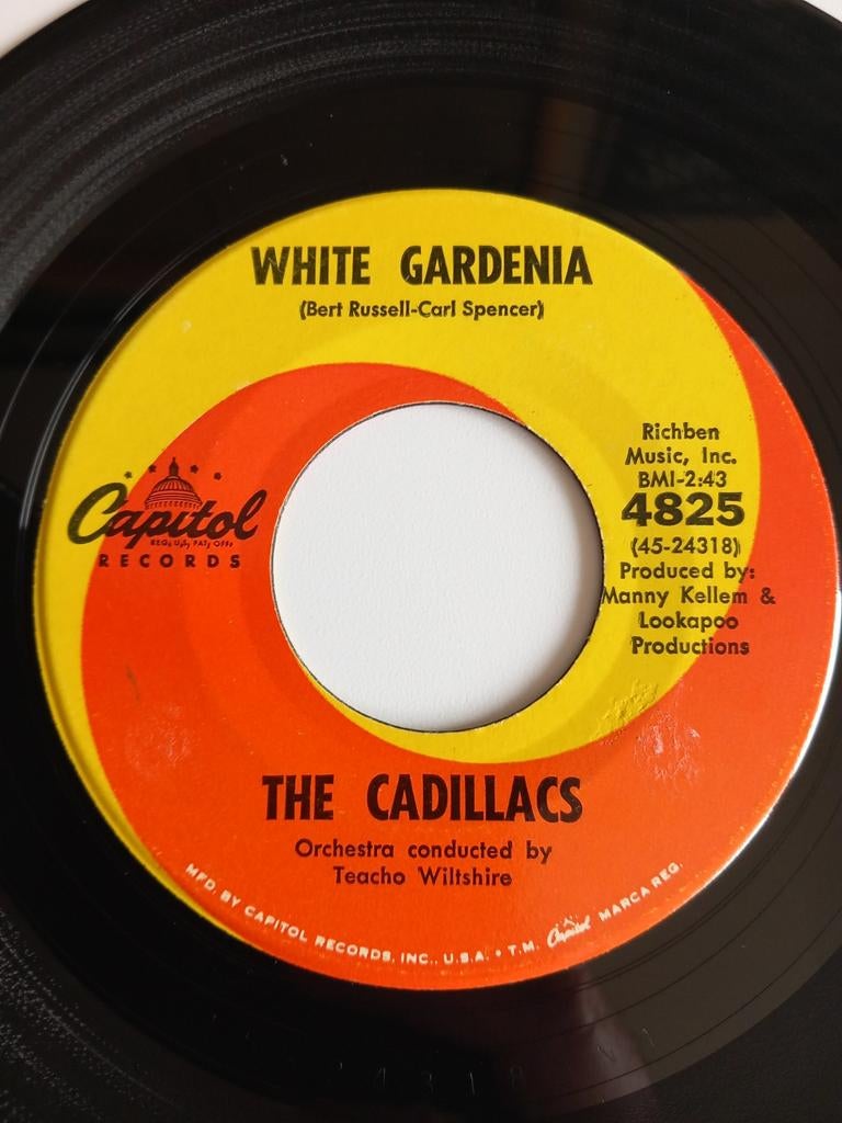 THE CADILLACS. WHITE GARDENIA. OLDIES 60s USA 45T