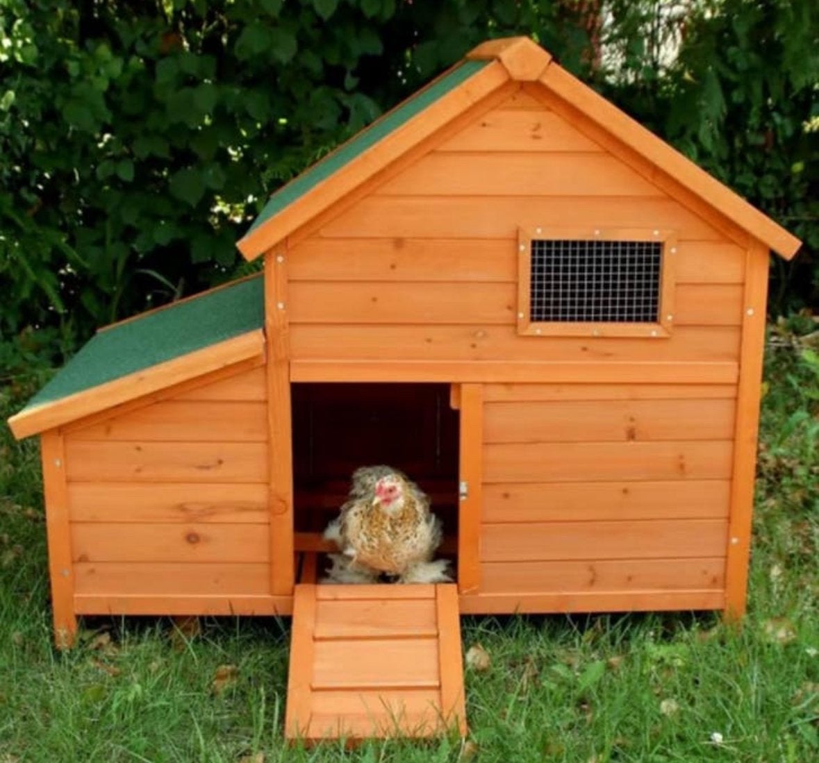 Nieuw kippenhok aan spotprijs !!!, Dieren en Toebehoren, Ophalen, Nieuw, Kippenhok of Kippenren