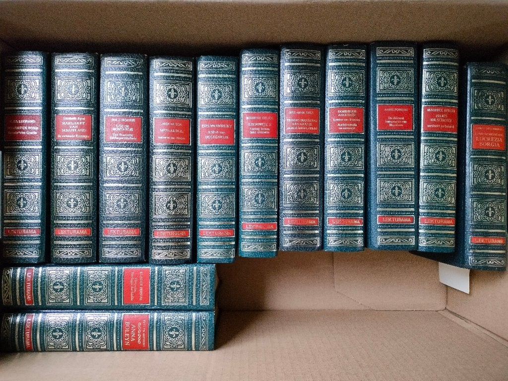13 geschiedkundige literatuur romans, Ophalen of Verzenden, Zo goed als nieuw