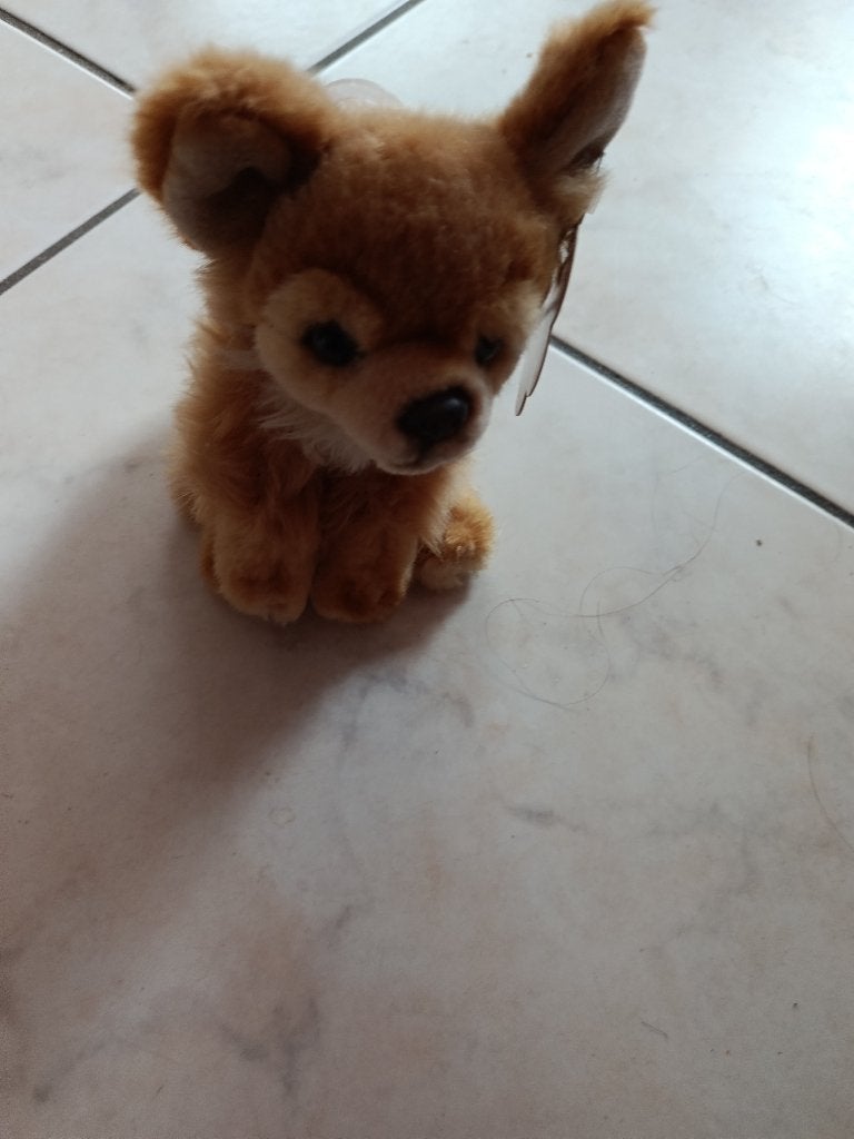 Nicotoy Pomeranian Keeshond - Knuffel 18 cm (doos sept 2026), Enlèvement ou Envoi, Neuf, Nicotoy