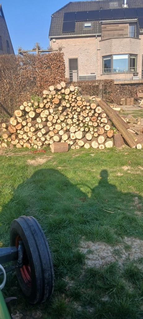 Brandhout wilg, Tuin en Terras, Brandhout, Ophalen