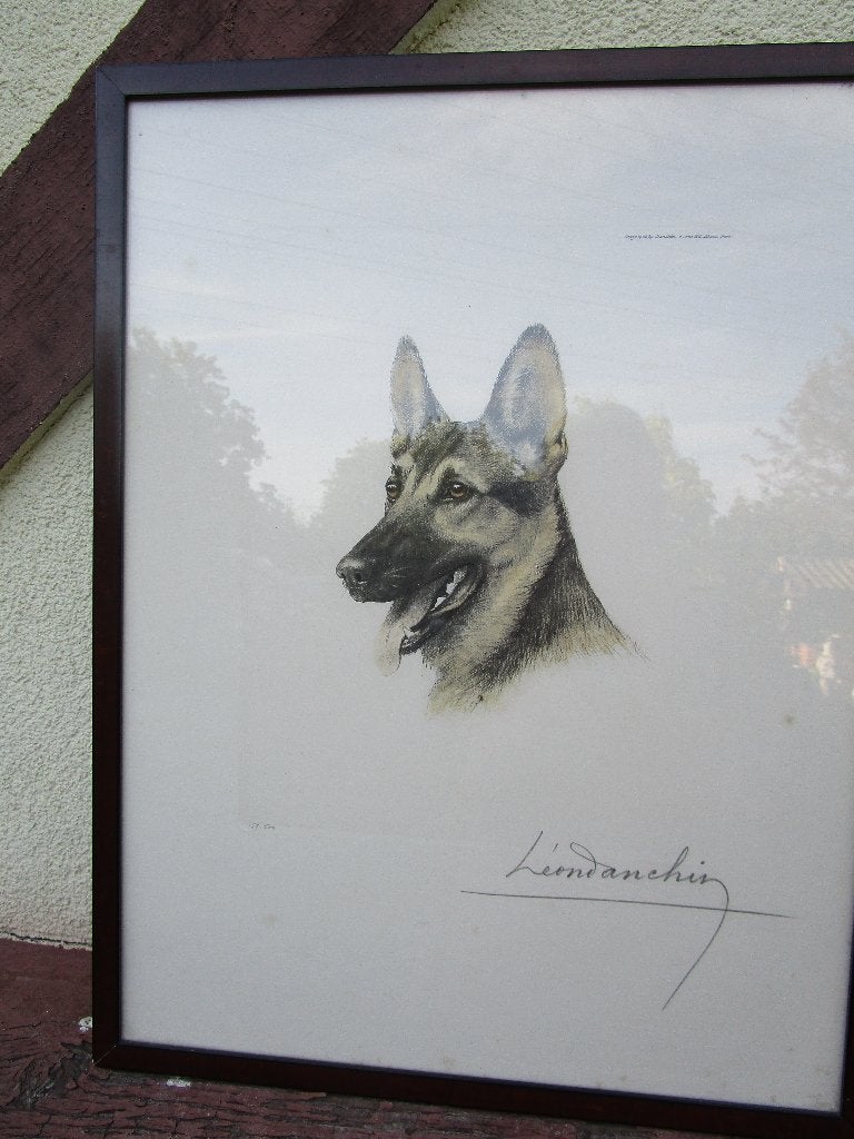 chien berger Leon Danchin, Antiquités & Art, Enlèvement, Eau-forte