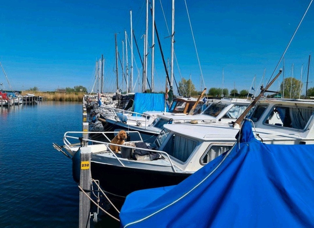 Gezellige motorboot 9.80 meter,met wat werk Toplocatie haven, Gebruikt, Binnenboordmotor, Diesel, Motorjacht