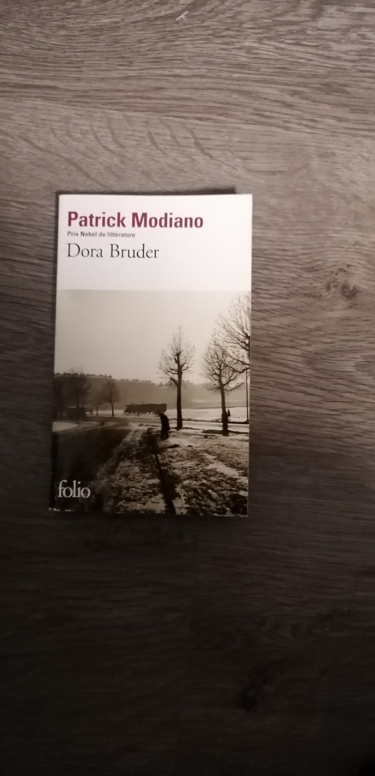 Patrick modiano, Boeken, Ophalen of Verzenden