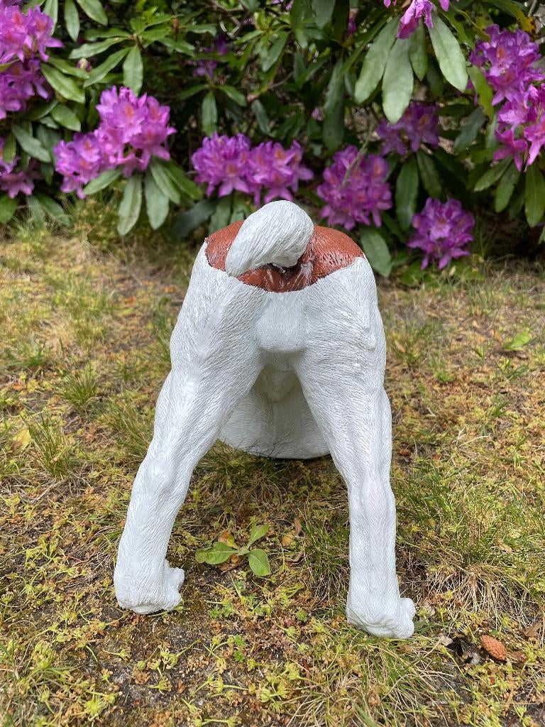 Jack Russel hond wit/bruin, gazon, boerderij 30cm, Ophalen of Verzenden, Nieuw, Kunststof, Dierenbeeld