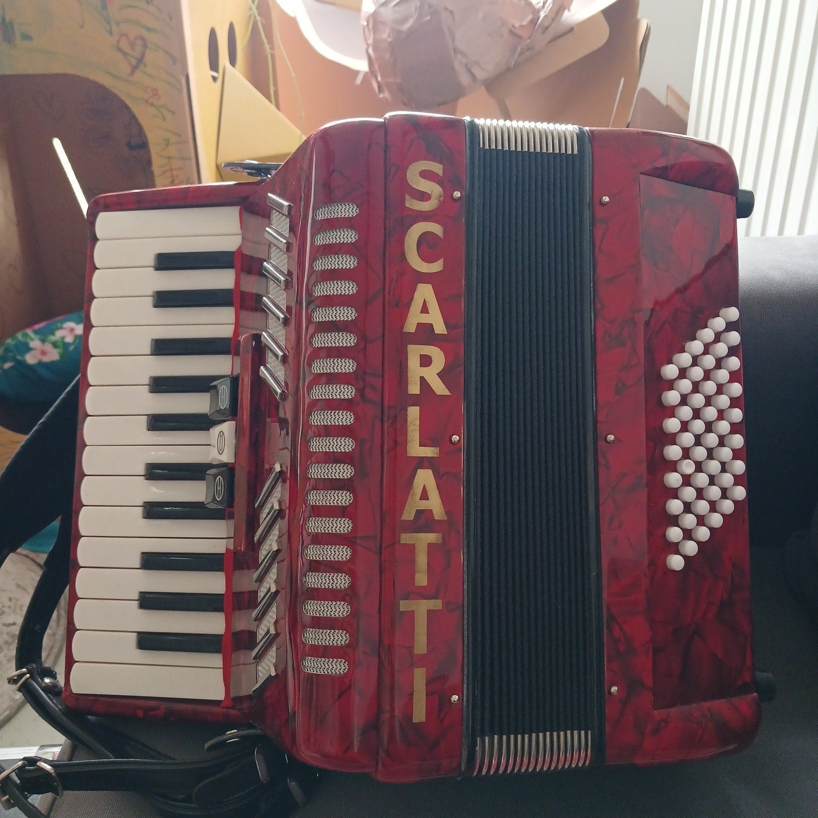 Accordeon Scarlatti, Enlèvement