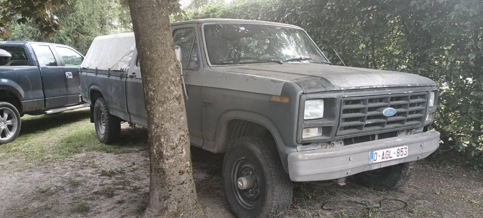 iconische '83 Bullnose F350, foto 11