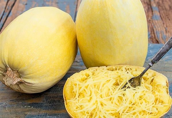 5 zaden spaghetti pompoen - kweek je eigen pasta !, Tuin en Terras, Verzenden, Voorjaar, Zaad
