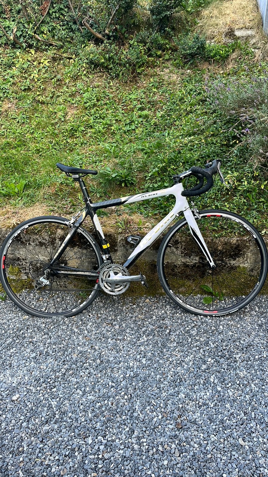 Vélo de course carbone Ms-bike, Autres marques, Frein sur jante, Enlèvement, Utilisé