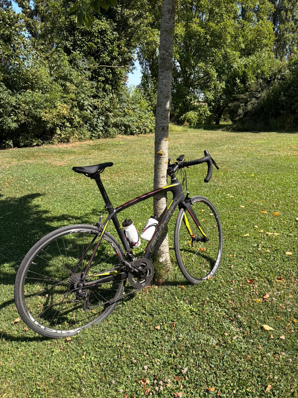 Racefiets Fuji Gran Fondo Classico 1.3 Carbon –, Vélos & Vélomoteurs, Vélos | Hommes | Vélos de sport & Vélo de randonnée, Frein sur jante