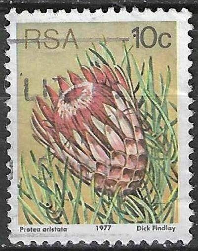 Zuid-Afrika 1977 - Yvert 425 - De Kleindensuikerbos  (ST), Postzegels en Munten, Postzegels | Afrika, Verzenden, Zuid-Afrika, Gestempeld