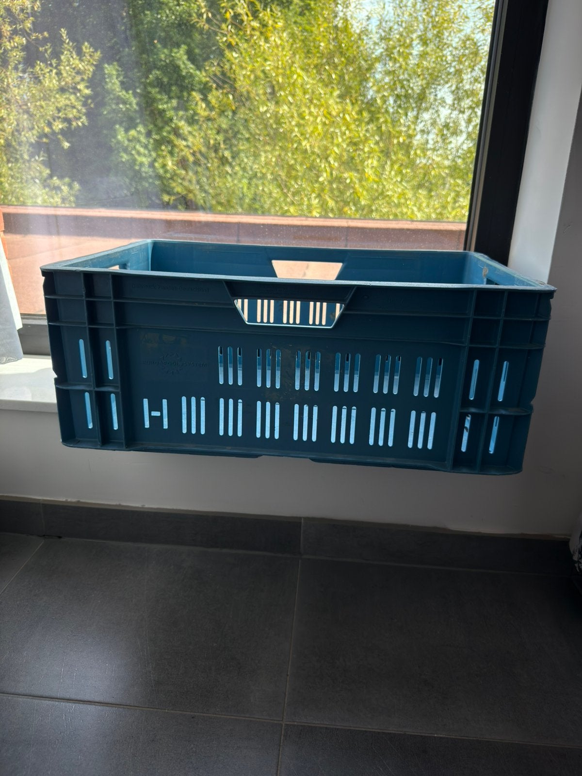 Groenten blauw bakken, Zakelijke goederen, Landbouw | Aardappelen, Groenten, Fruit en Vlees, Ophalen